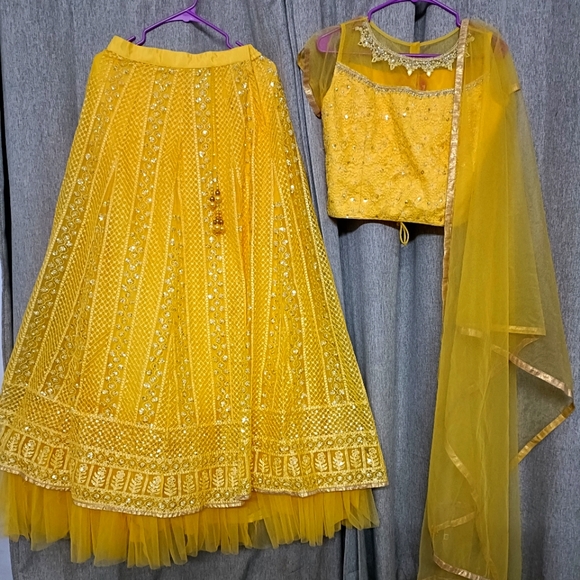 Lehenga - Picture 1 of 4